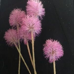 Meet your Posher, Bella